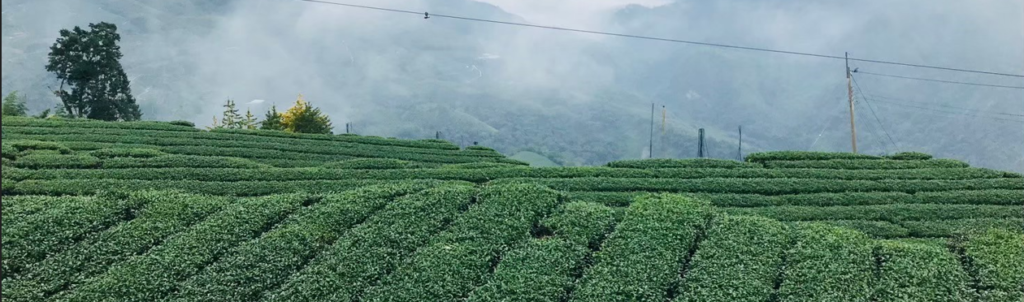 sp20260317 163941 406